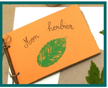 herbier Pistil et Etamine
