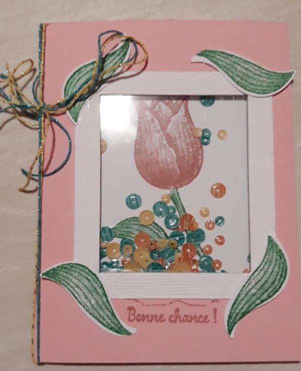 Carte à secouer © Laetitia Georges