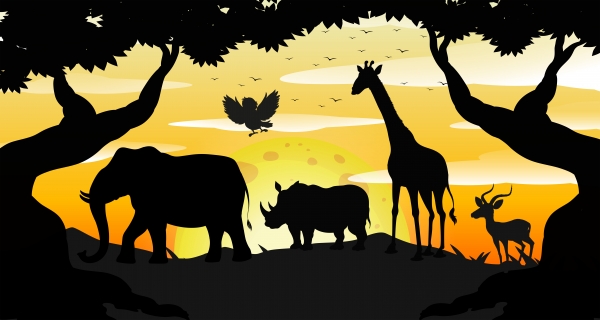 savane © brgfx