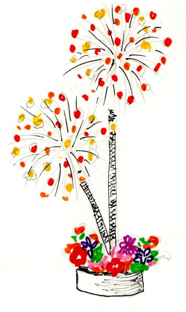 feu d'artifice © Badiane
