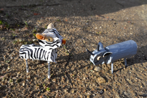 zebre et rhino 1 © Eric Gandit